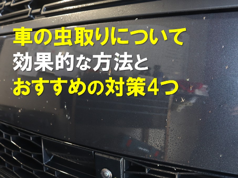 車の虫取りについて効果的な方法とおすすめの対策4つ